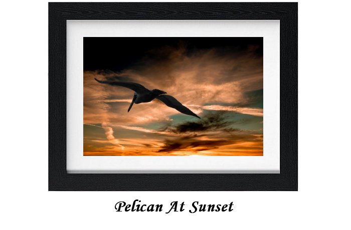 Pelican At Sunset